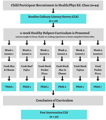 Healthy helpers: using culinary lessons to improve children’s culinary literacy and self-efficacy to cook